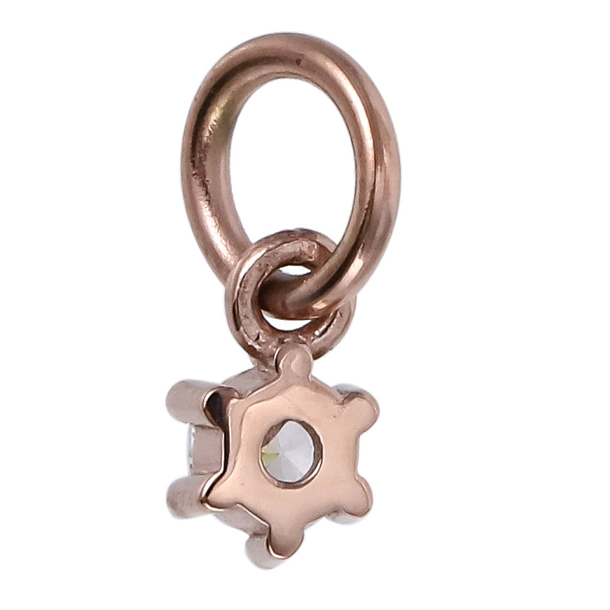 GHSS196 STAINLESS STEEL CHARM