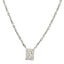 GNSS330 STAINLESS STEEL NECKLACE AAB CO..