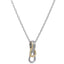 GPSS1506 STAINLESS STEEL PENDANT AAB CO..