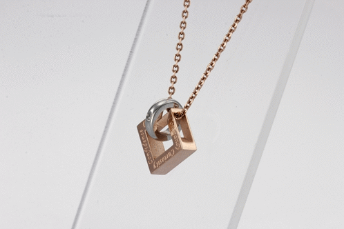 GPSS635 STAINLESS STEEL PENDANTCourage   Constancy  Confidence   Curiosity AAB CO..