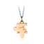 GPSS661 STAINLESS STEEL PENDANT


Looking together in the same direction AAB CO..