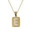 202509P01 PENDANT