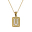 202509P01 PENDANT