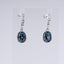 INSWER01B.FIE SWAROVSKI EARRING