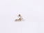 JRTH84 STAINLESS STEEL  EXTERNAL THREAD HELIX WITH CZ