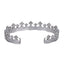 MBSG47 STAINLESS STEEL CROWN OPEN BANGLE