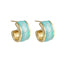 MESS94 STAINLESS STEEL EARRING WITH EPOXY