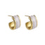 MESS94 STAINLESS STEEL EARRING WITH EPOXY