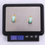 MESS94 STAINLESS STEEL EARRING WITH EPOXY