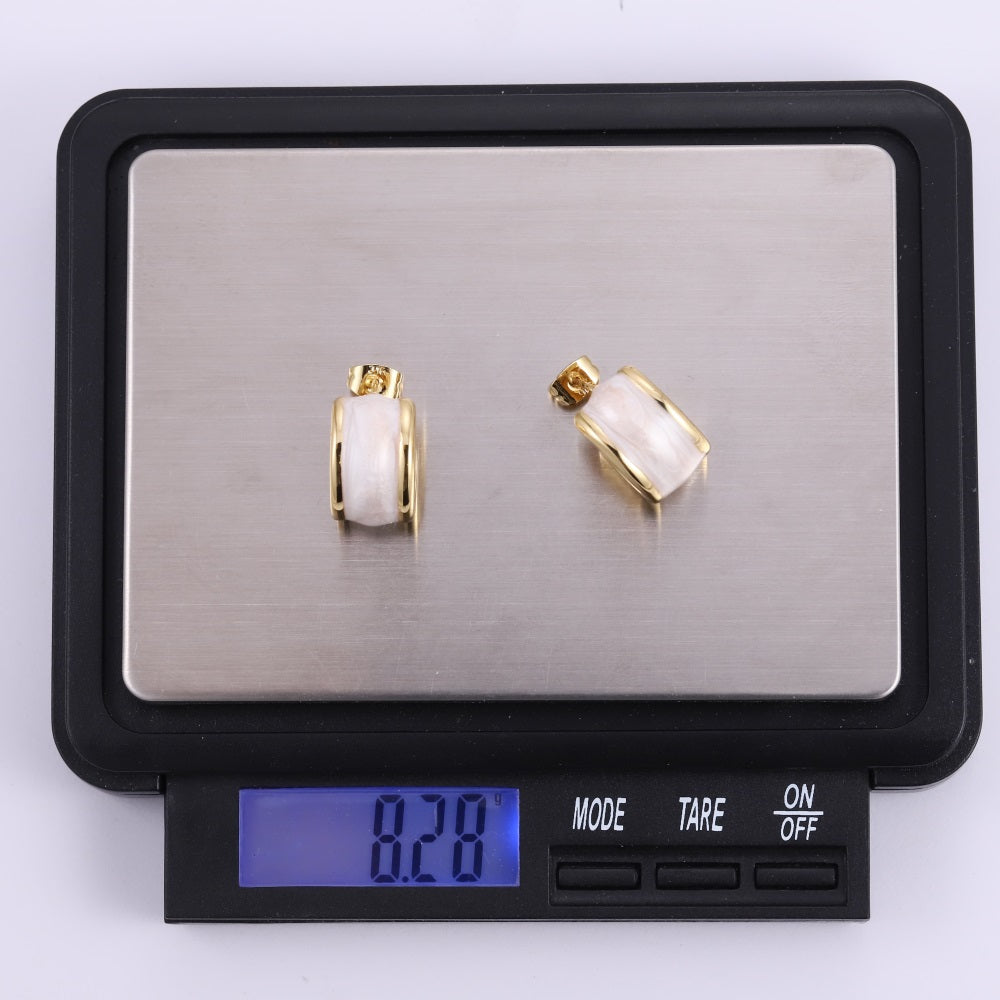 MESS94 STAINLESS STEEL EARRING WITH EPOXY