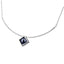 NSS215 STAINLESS STEEL NECKLACE WITH SWA.