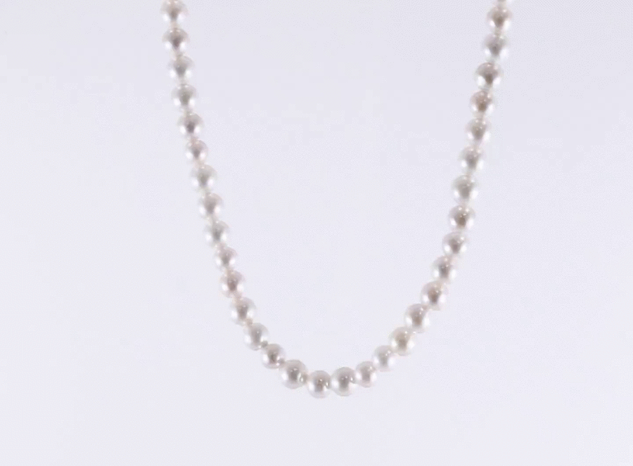 NSS861 STAINLESS STEEL NECKLACE WITH SHELL PEARL