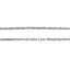 NSS976 STAINLESS STEEL NECKLACE