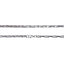 NSS977 STAINLESS STEEL NECKLACE