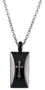 PSCA17 STAINLESS STEEL PENDANT