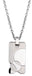 PSCL81 STAINLESS STEEL PENDANT AAB CO..
