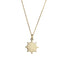 PSS1345 STAINLESS STEEL SHEEP WHEEL PENDANT