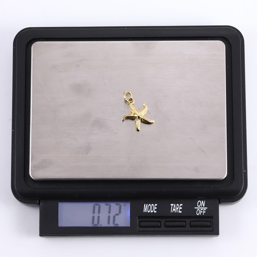 PSS1354 STAINLESS STEEL STARFISH PENDANT