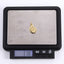 PSS1366 STAINLESS STEEL CROSS-CUT CONCH PENDANT