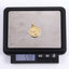 PSS1367 STAINLESS STEEL COIN PENDANT
