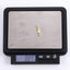 PSS1373 STAINLESS STEEL SMALL SEAHORSE PENDANT