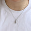 PSS1373 STAINLESS STEEL SMALL SEAHORSE PENDANT