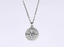 PSS1379 STAINLESS STEEL ROUND COMPASS PENDANT