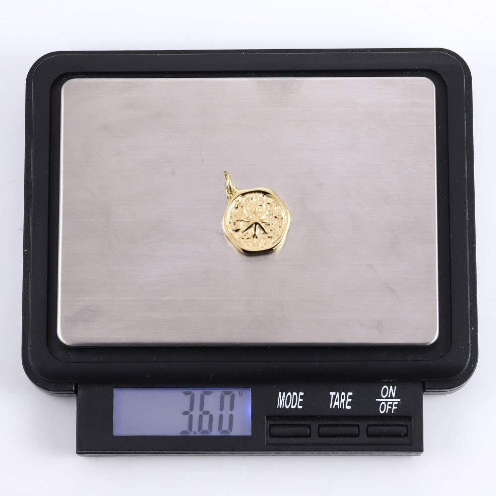 PSS1383 STAINLESS STEEL PENDANT WITH STAR