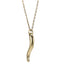 PSS1384 STAINLESS STEEL CHILI PENDANT