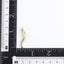 PSS1384 STAINLESS STEEL CHILI PENDANT