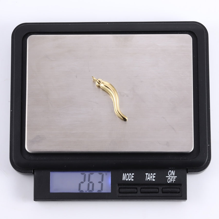 PSS1384 STAINLESS STEEL CHILI PENDANT
