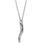 PSS1384 STAINLESS STEEL CHILI PENDANT