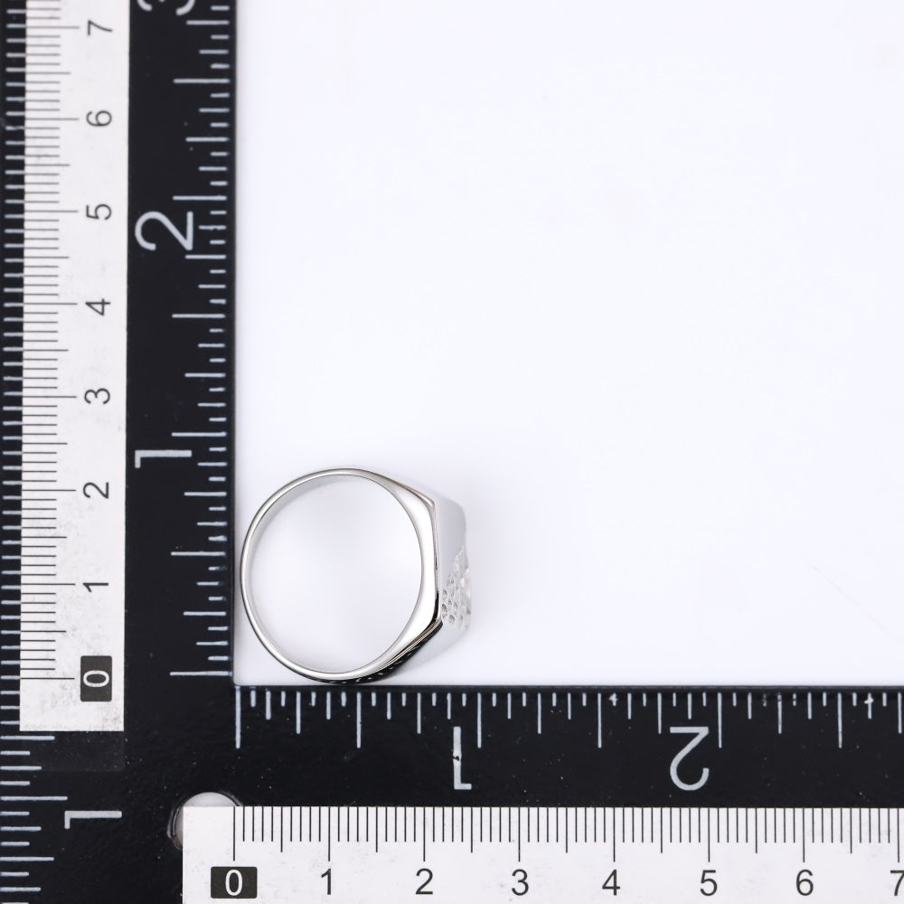 RSS1112 STAINLESS STEEL RING