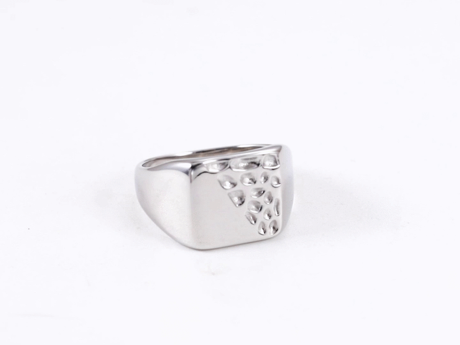 RSS1112 STAINLESS STEEL RING