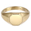 AAB Co. Stainless Steel Octagonal Signet Ring – 14K Gold Matte