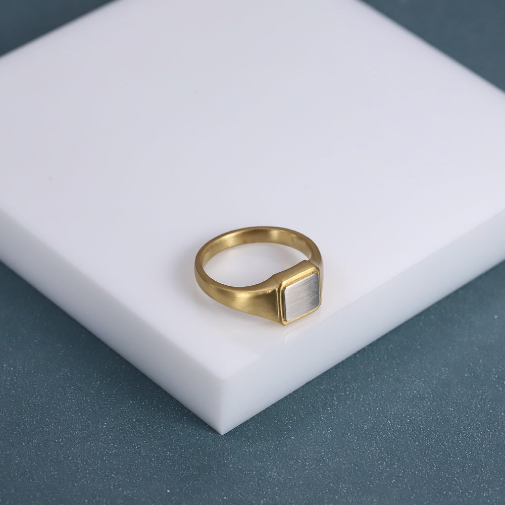 RSS1161 STAINLESS STEEL RING