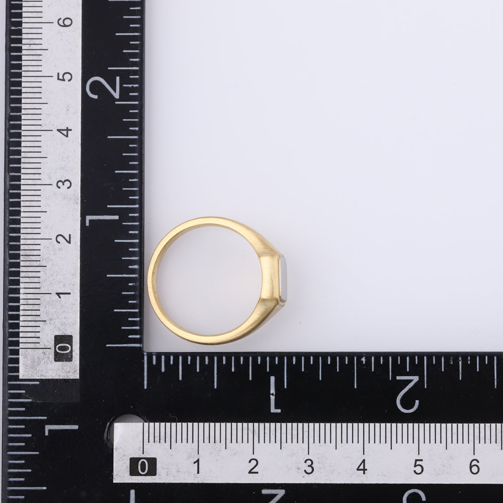 RSS1161 STAINLESS STEEL RING