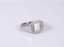 RSS1162 STAINLESS STEEL RING