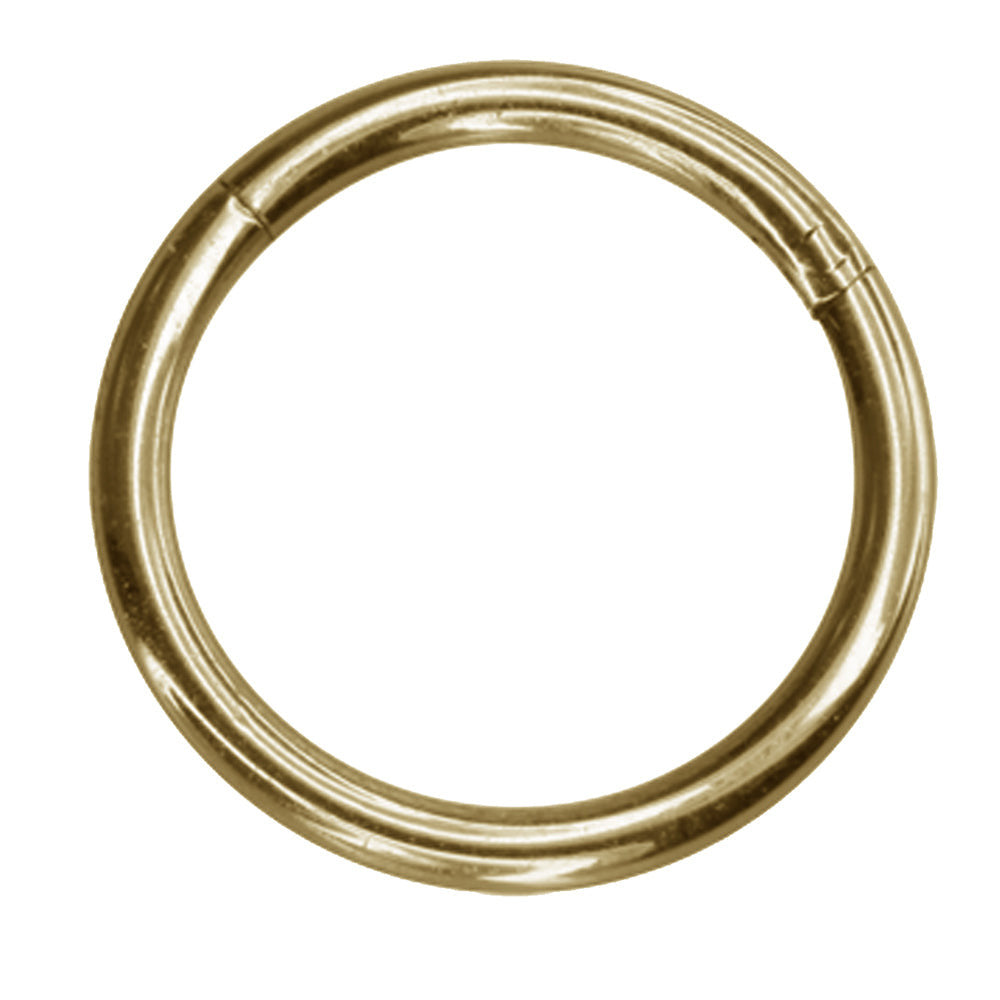 BCR06 BALL CLOSURE RING-CIRCLE AAB CO..