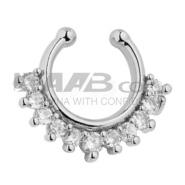 TCSP01 SEPTUMS AAB CO..