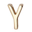 CHARM Y STAINLESS STEEL CHARM