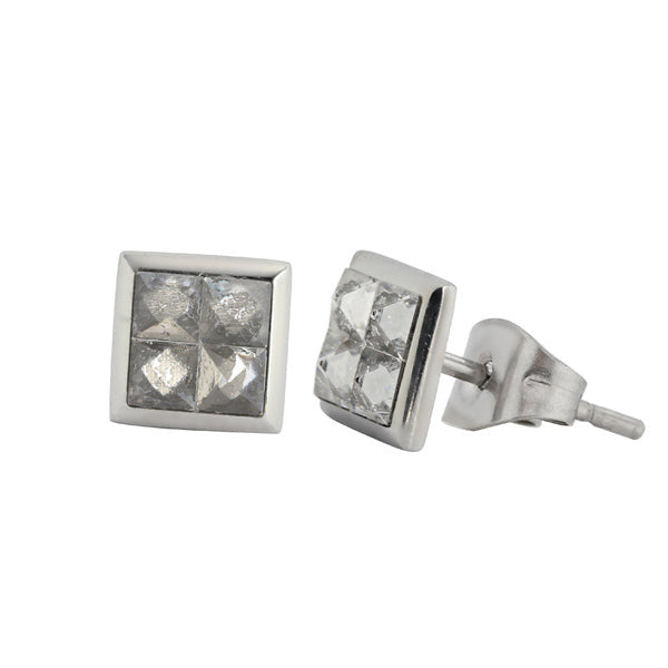 ESS466 STAINLESS STEEL EARRING