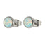 ESS468 STAINLESS STEEL EARRING AAB CO..