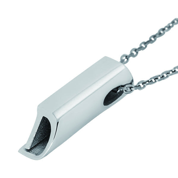 PSS837 STAINLESS STEEL PENDANT(D)