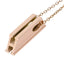 PSS841 STAINLESS STEEL PENDANT(H)