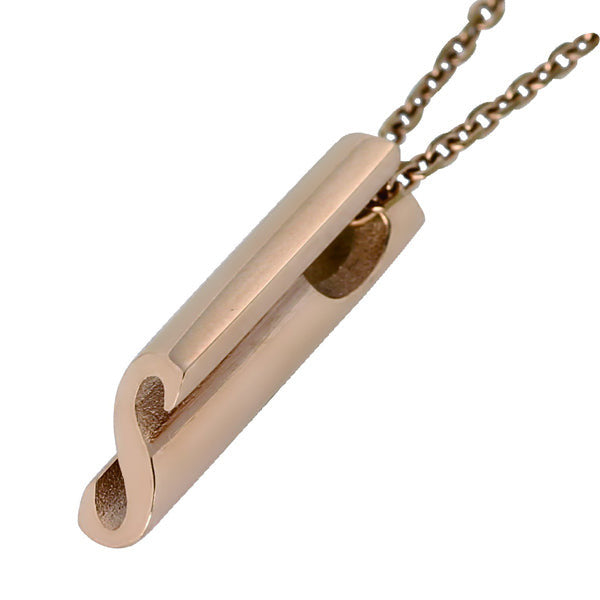 PSS852 STAINLESS STEEL PENDANT ( S ) AAB CO..