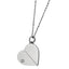 PSS945 STAINLESS STEEL PENDANT