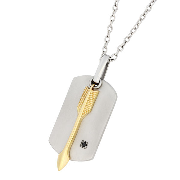 PSS950 STAINLESS STEEL PENDANT