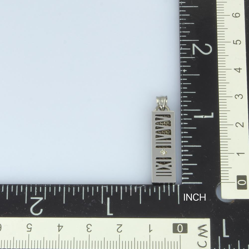 PSS933 STAINLESS STEEL PENDANT