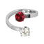 RSS934 STAINLESS STEEL RING